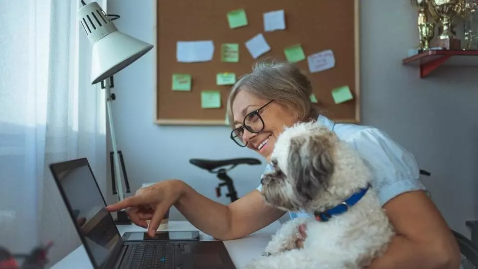 person working on her laptop with her dog on her lap