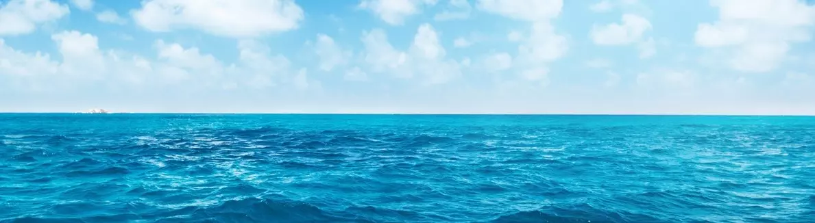 Ocean view