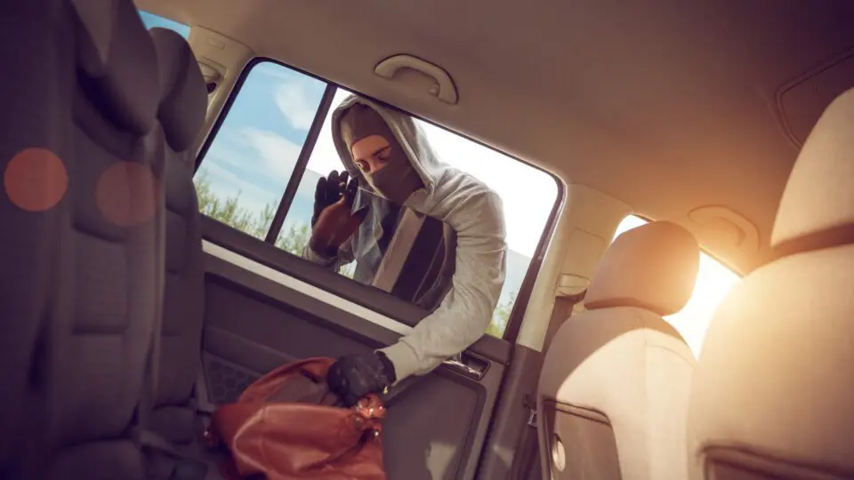 man stealing a purse from a car