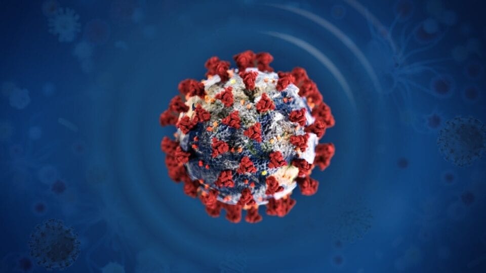Image rendering of a virus