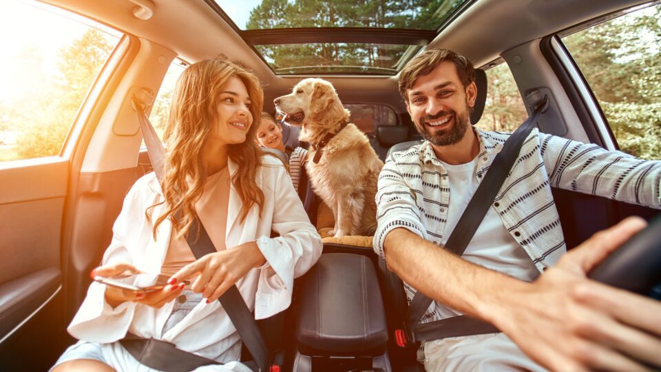 Family driving in a car with their dog