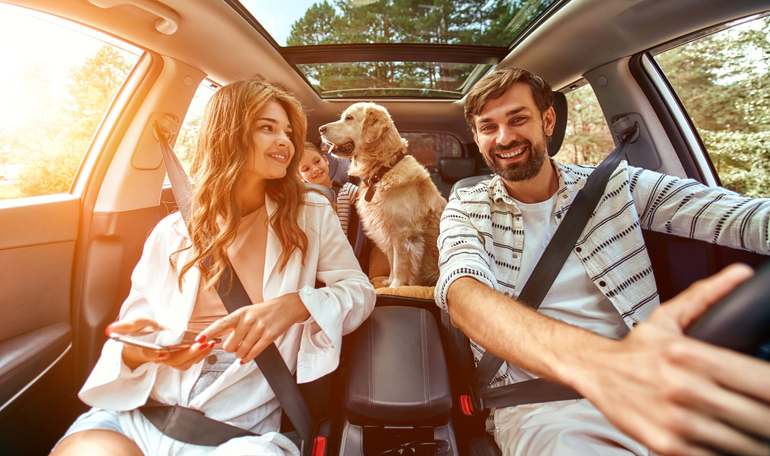 The Ultimate Guide for Car Insurance in Nova Scotia | Bauld Insurance